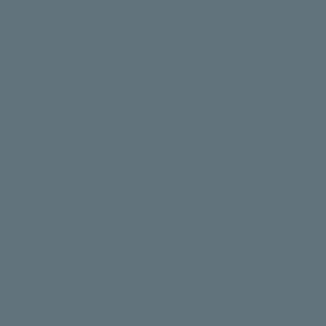 bristol blue